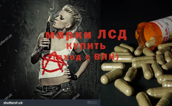 стафф Каменногорск