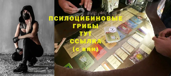 стафф Каменногорск