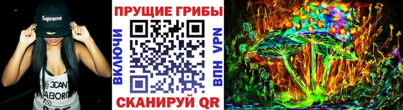 Псилоцибиновые грибы Cubensis  Кореновск 